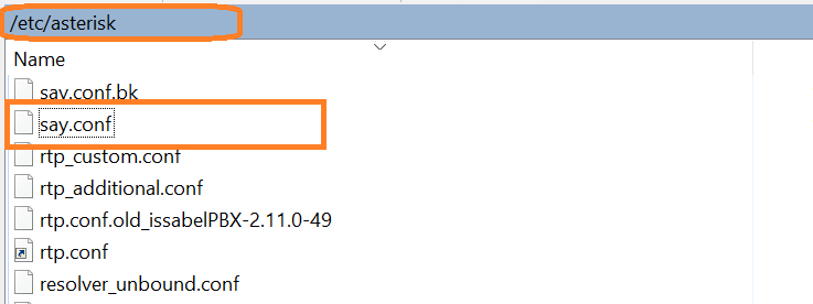 saynumber-asterisk-2